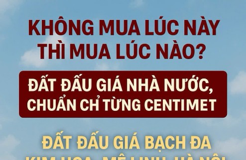 CƠ HỘI VÀNG ĐẦU TƯ ĐẤT VÀNH ĐAI 4 tại đấu giá BẠCH ĐA KIM HOA MÊ LINH HÀ NỘI